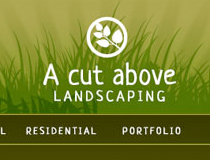 a cut above.